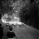 Ferme+des+Beiges
